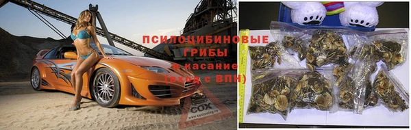 Альфа ПВП Нея